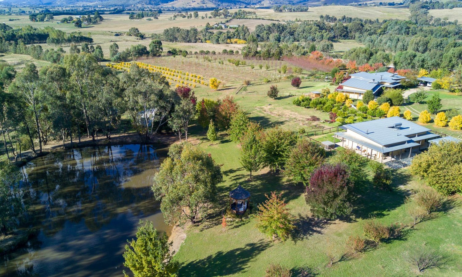 Equine therapy Australia
