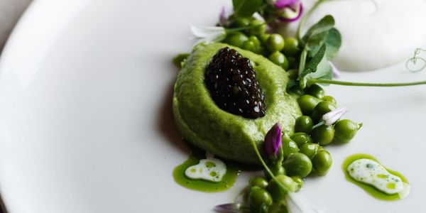 Aria pre-theatre dinner sydney