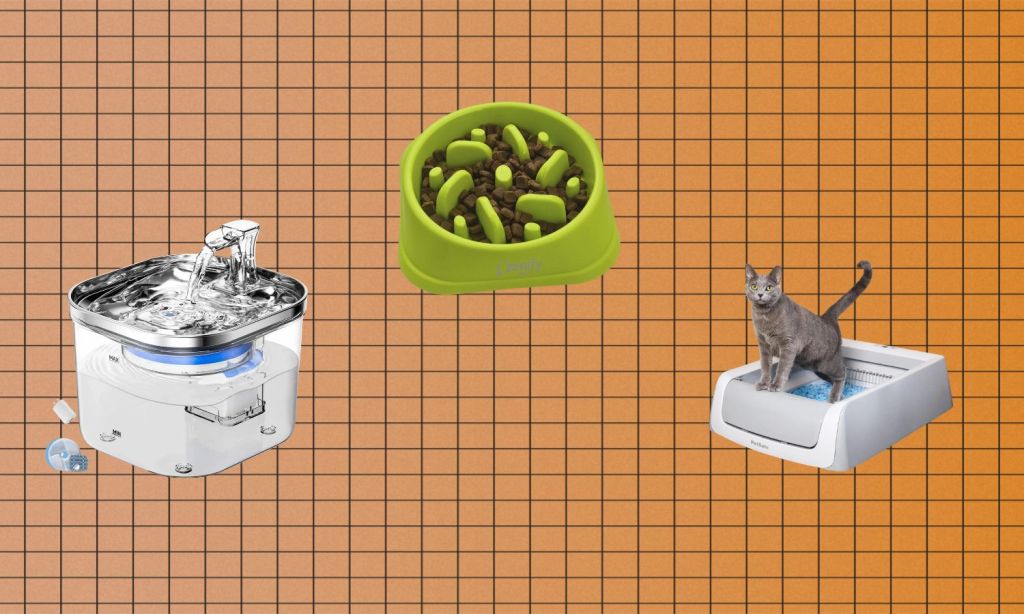 best amazon prime day pet deals