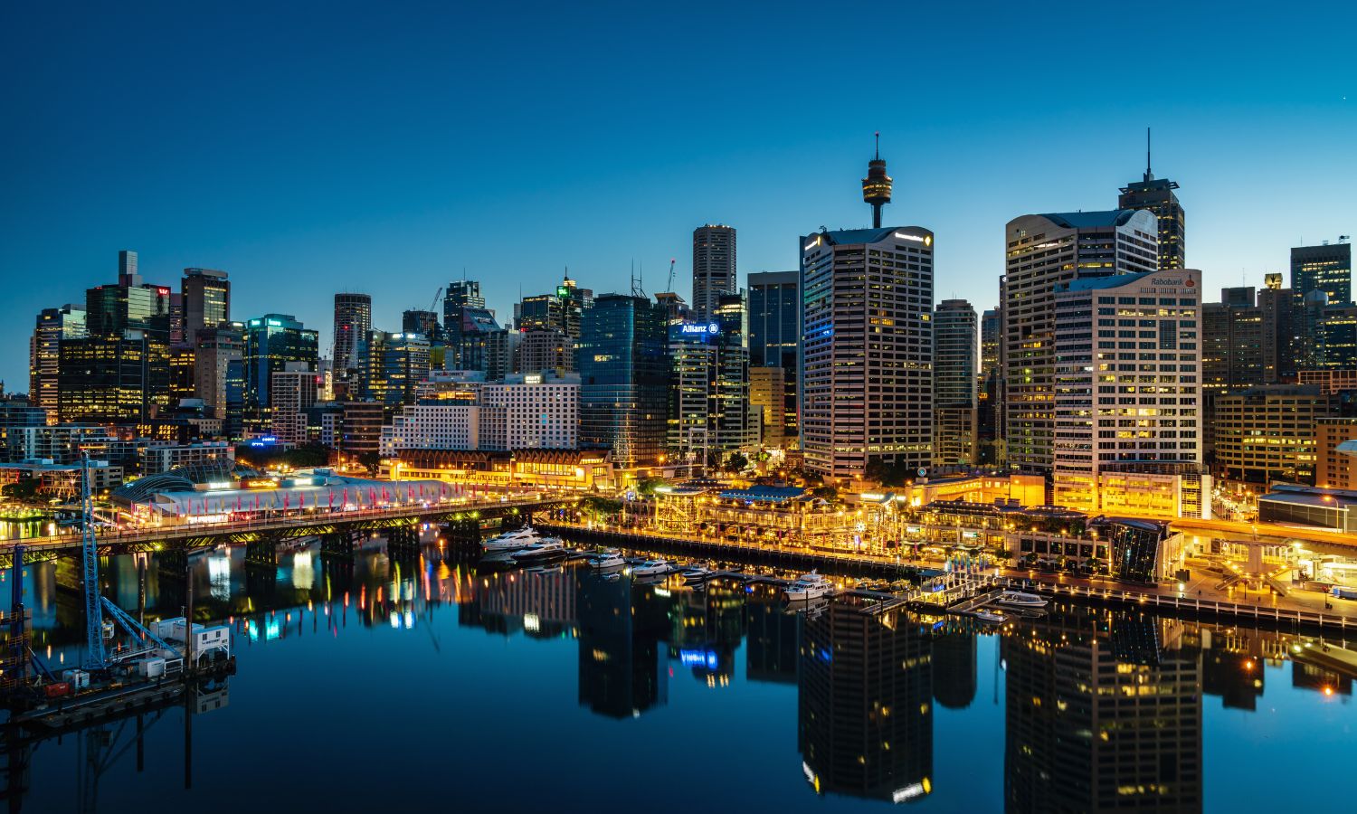 Sydney nightlife coming back