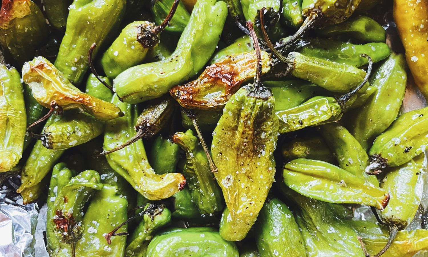 Shishito peppers