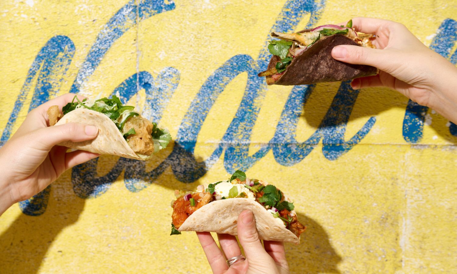 taco eating competition sydney