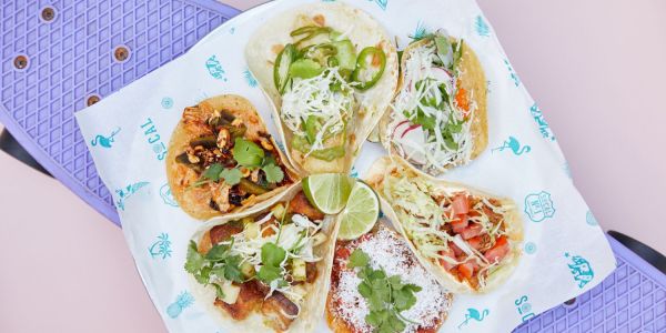 taco eating competition sydney